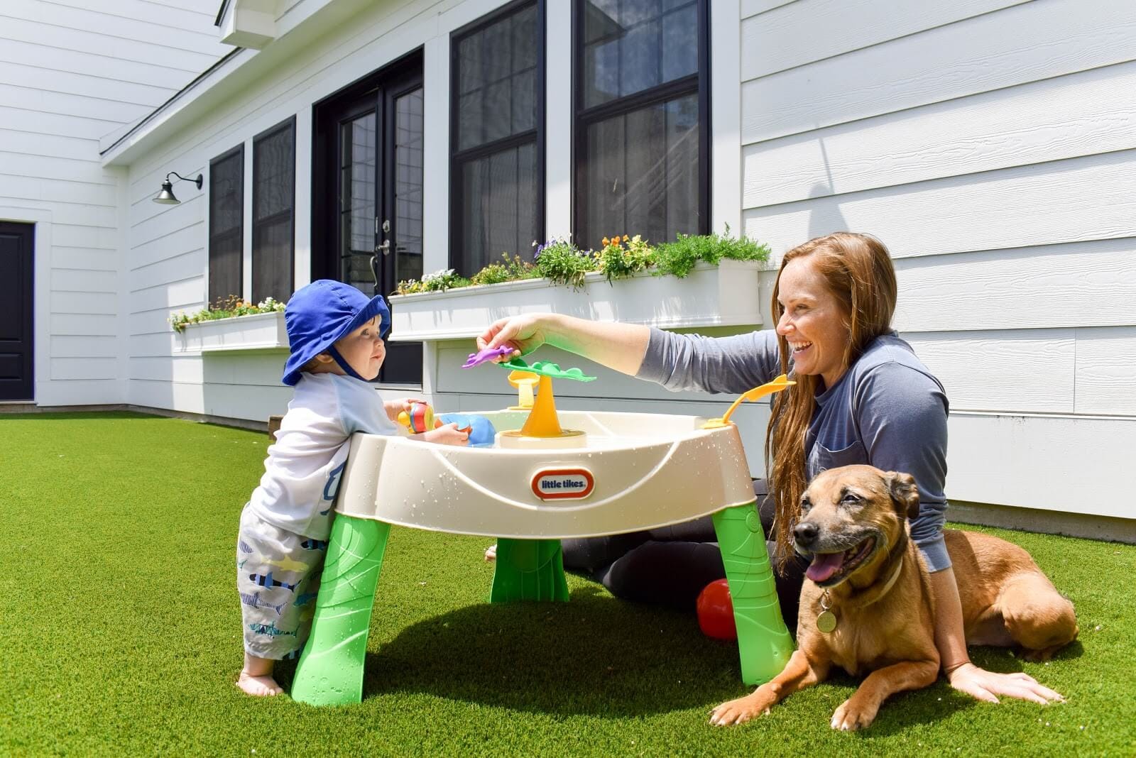 Residential family dog Mina Starsiak (now Mina Starsiak Hawk, officially) from the HGTV show 'Good Bones' and 'Two Chicks and a Hammer'
